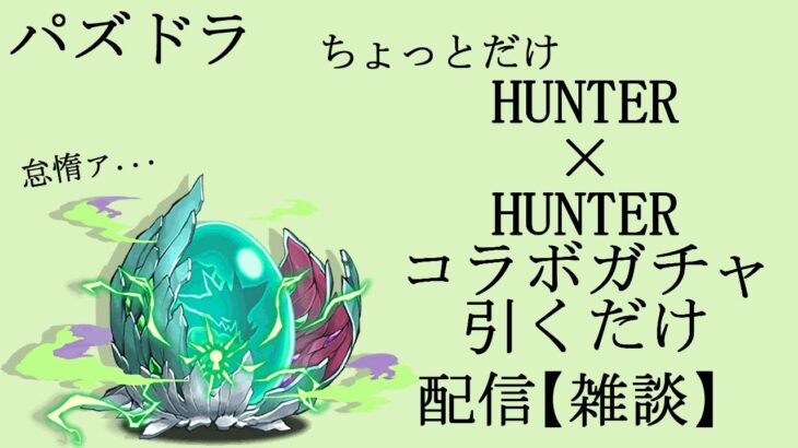 ほんのちょっとだけHUNTER×HUNTERコラボガチャを引くだけの配信　パズドラ