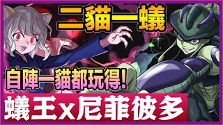 PAD パズドラ HxH 蟻王X貓女 ！自陣一貓！二貓一蟻！有追打就輕鬆打！全職獵人！hunterxhunter