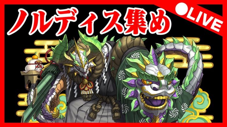 🔴【マルチ募集中】正月ノルディス集め【パズドラ雑談配信】 #パズドラ