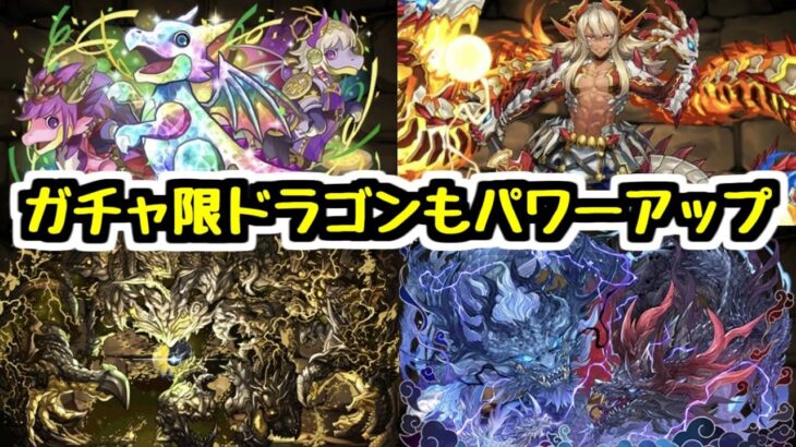 【ガチャ限も強化】ドラゴン大量パワーアップの続報！グランエルヴやアグリゲートなどガチャキャラもたくさん！【パズドラ】