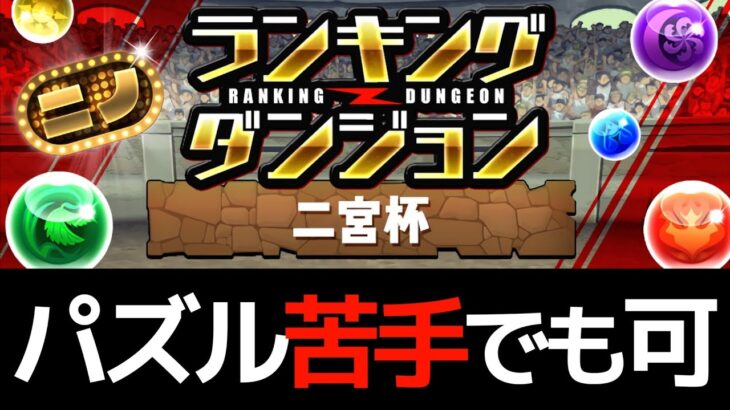 【ランダン二宮杯】192,758点！思考がシンプルな王冠用立ち回りを解説【パズドラ実況】