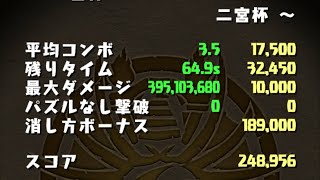 ランキングダンジョン 二宮杯 248,956点