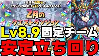 【2月のクエスト】Lv8.9固定チーム！ド安定立ち回り解説！【パズドラ】