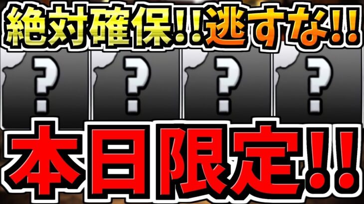 【本日限定】逃すと絶対後悔します！3つ！超大事なヤツから一部の人に必要なヤツまで！紹介解説【パズドラ】