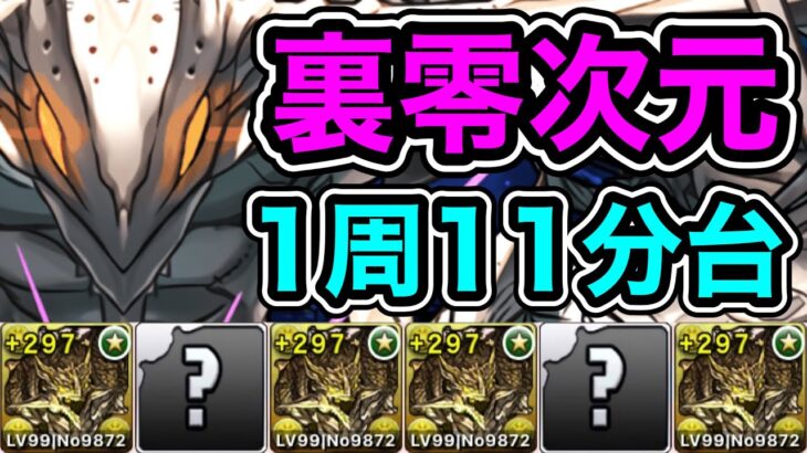 【パズドラ】全敵対応！裏神秘の次元！裏零次元の創造主！ダンボ3！1周11分台！アグリゲートループ！アグリゲート編成で安定周回！【概要欄に立ち回りなど記載】