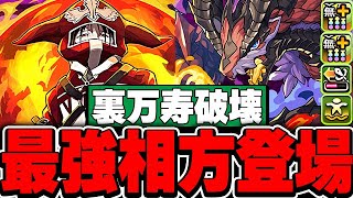 リーダーとしてもかなり強い！！新登場したベリアルドラゴンがフェイタン編成と相性抜群！！【裏万寿】【パズドラ実況】