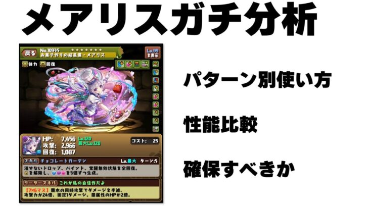 メアリスガチ分析【パズドラ】【バレンタインメアリス】