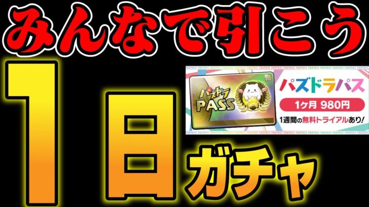 🔴【みんなで1日ガチャ】２月もありがとうございました【パズドラ雑談配信】 #パズドラ