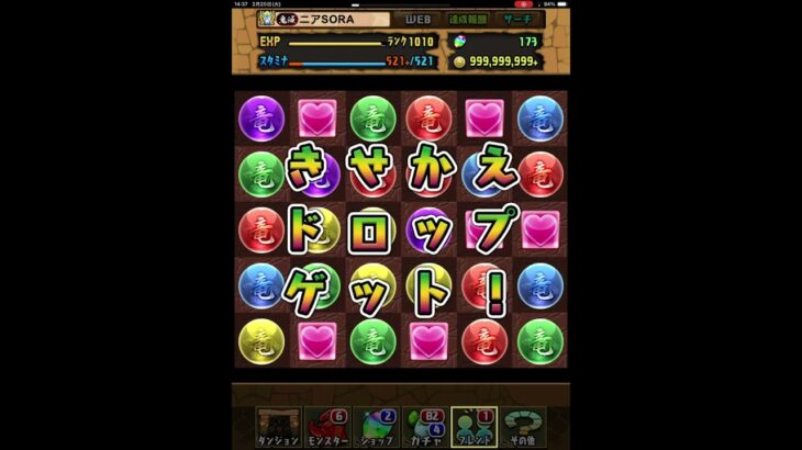 【パズドラ】