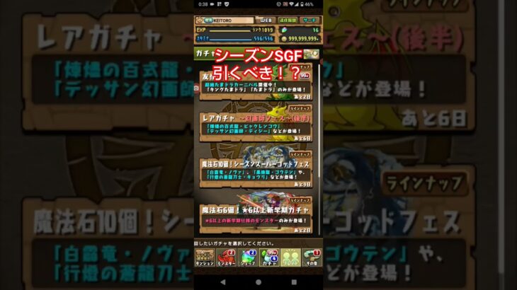 【パズドラ】シーズンSGF引くべきか解説＆ちょいガチャ #パズドラ #パズドラガチャ #shorts