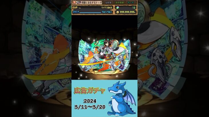 [パズドラ]  広告ガチャ　2024/5/11〜5/20