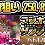 【ランダン ハトホル杯】王冠狙い立ち回り250,850 ↑2スキップ自力パズル3回！【パズドラ】