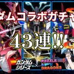 ガンダムコラボガチャ!!43連してみた結果【パズドラ】【ガンダムコラボ】