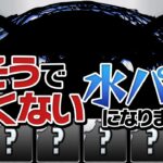 レアガチャのアクアカーニバルを5回引いて即席水パを作ってみた結果…【パズドラ】