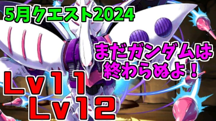 【5月クエスト2024】Lv11Lv12-キュベレイ～4000日とはいったいｗ～【パズドラ実況】