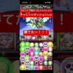 【パズドラ】チャレンジダンジョンLv11勝てました！#パズドラ #ご指導ご鞭撻の程よろしくお願い致します