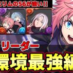 【パズドラ】No. 1リーダーはミリムで決定‼︎T字の時代‼︎LFミリムで新百式攻略‼︎【パズドラ実況】