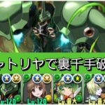 【最強&人権】クシャトリヤが最強過ぎたので裏千手を破壊していきましょう😎【パズドラ】【ガンダムコラボ】