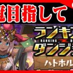 🔴【ランダンハトホル杯】王冠目指して自由杯をやるぞ【パズドラ雑談配信】 #パズドラ　#雑談　#ラジオ 　#ランダン