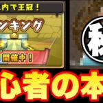 【パズドラ】初心者が最新のランキングに本気で参加した結果