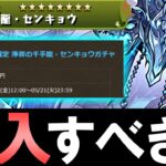 【判断材料は○○○】新センキョウは購入すべき？微課金目線で徹底解説します。【パズドラ】