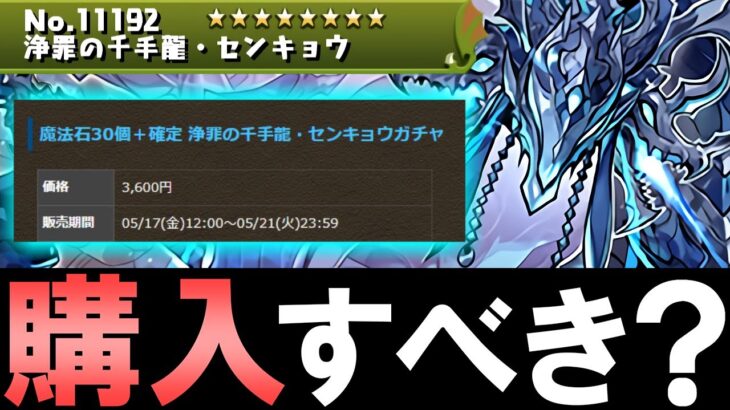 【判断材料は○○○】新センキョウは購入すべき？微課金目線で徹底解説します。【パズドラ】