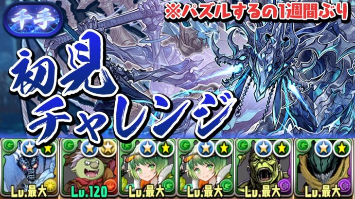 1週間ぶりにパズルする男が挑む新千手チャレンジ初見プレイ【パズドラ】