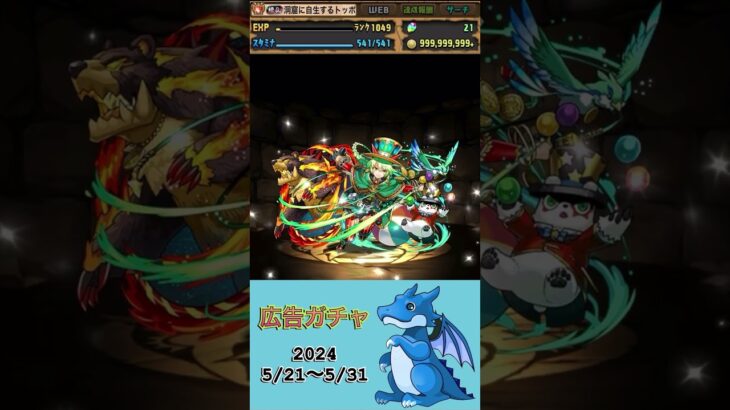 [パズドラ]  広告ガチャ　2024/5/21〜5/31