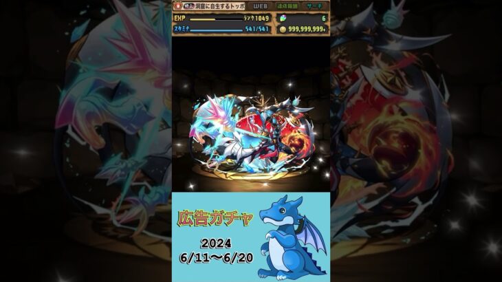 [パズドラ]  広告ガチャ　2024/6/11〜6/20