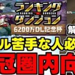 【ランダン】パズル苦手な人必見！ルート2回と固定パズル2回で王冠を狙おう！パズル解説付き！ランキングダンジョン6200万DL杯王冠圏内向け立ち回り解説！【パズドラ】