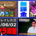 爆速50周達成⁈ 無課金最強編成⁈リセマラ初日クリア⁈ 新千手が完全崩壊してる件【パズドラ】