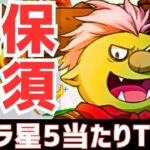 【パズドラ】低レア史上最強のラインナップ⁉転スラコラボ星5超個人的当たりランキングTOP5！