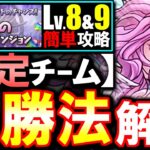 【固定チーム】最も楽な立ち回りがこちら!!6月のクエスト チャレンジLv8 Lv9攻略法を徹底解説!!魔法石を17個GETしよう!!【パズドラ】