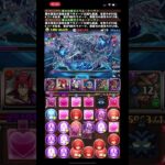 パズドラ　新千手チャレンジ　ミリムpt