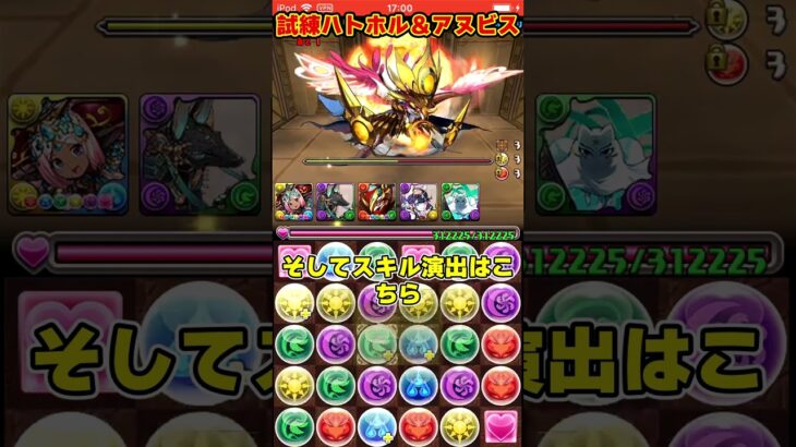 【パズドラ】最強光サブのハトホル!!一方通行と好相性のアヌビス!!最新の試練進化がやばすぎる!!! #shorts #パズドラ #ドラゴン縛り【ゆっくり実況】