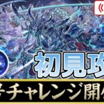 【パズドラ】新千手称号チャレンジを初見攻略！【雑談】