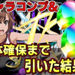 【パズドラ】電撃文庫コラボガチャ全キャラコンプ&確定２対確保まで引いたらやばかった・・・【パズドラ実況】