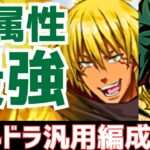 【パズドラ】木属性がまた最強に⁉貫通火力ヤバいｗヴェルドラ×デク汎用編成紹介！