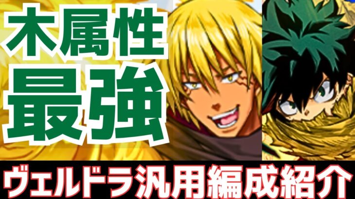 【パズドラ】木属性がまた最強に⁉貫通火力ヤバいｗヴェルドラ×デク汎用編成紹介！