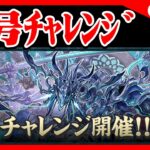 🔴【新千手】称号チャレンジ頑張るぞ【パズドラ雑談配信】 #パズドラ　#雑談　#ラジオ 　#称号