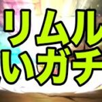 新千手に勝ちたくてリムルを追い、ミリムも欲しい男【パズドラ】