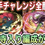 【パズドラ】甘露寺とシリウスの相性が最高！新千手チャレンジ絶対勝てる編成です！