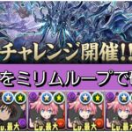 【最強&人権】新千手をミリムループで破壊😎【パズドラ】