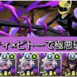 【最強&人権】セルティ×ピトーループ×ガンビットループで極悪を破壊😎【パズドラ】【電撃文庫コラボ】