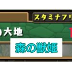 【パズドラ】豊穣の大地  (森の獣姫)  1-1-3をプレイしてみた！ 【テクニカルダンジョン】