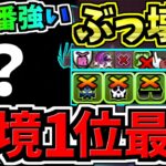 【環境1位】今一番強い！最強テンプレ編成(一番使いたくなる最強編成)を紹介！代用・立ち回り解説！最高難易度も行けて普段使いにも【パズドラ】