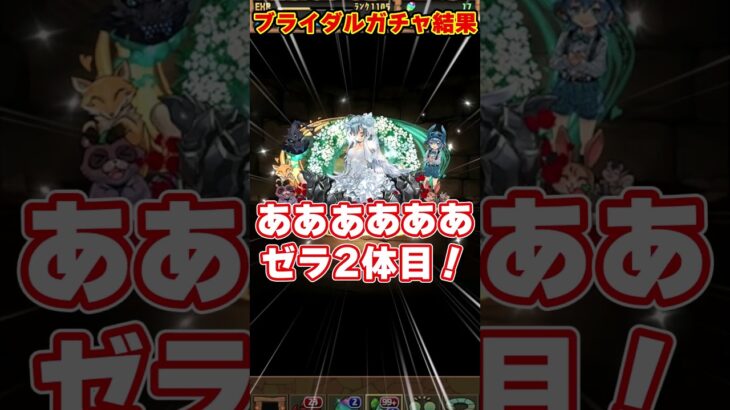 【パズドラ】嫁テュオレ1点狙いしたらまさかの結果に…ブライダルガチャがやばすぎる!!! #shorts #パズドラ #ドラゴン縛り【ゆっくり実況】