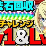 【超高度1/100】灼熱チャレンジLV1&LV2をアンジェリーナ共通編成で攻略！魔法石15個ゲット！【パズドラ】