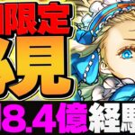 1周11分で”8.4億経験値”！ノアで裏機構城を周回しよう！代用&立ち回り解説！【パズドラ】