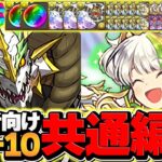 魔法石12個&激ウマ報酬！コードギアスLV1-LV10をノルディス攻略！やらなきゃ損！代用&立ち回り解説！【パズドラ】